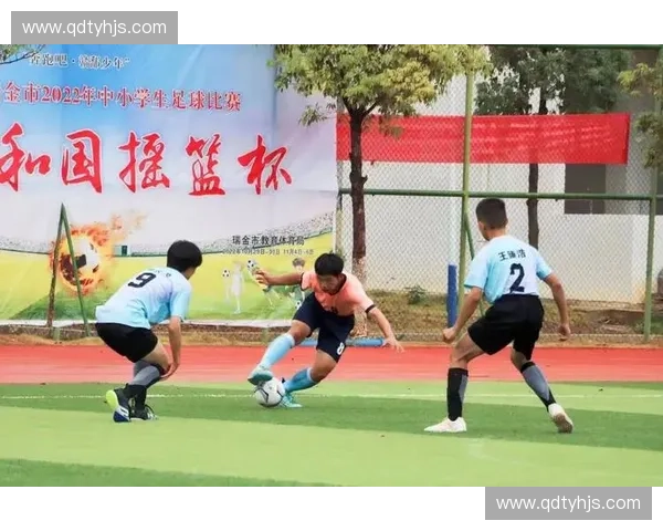 聚焦湖南省足球赛事发展与城市青训协同体系构建路径深度探索研究